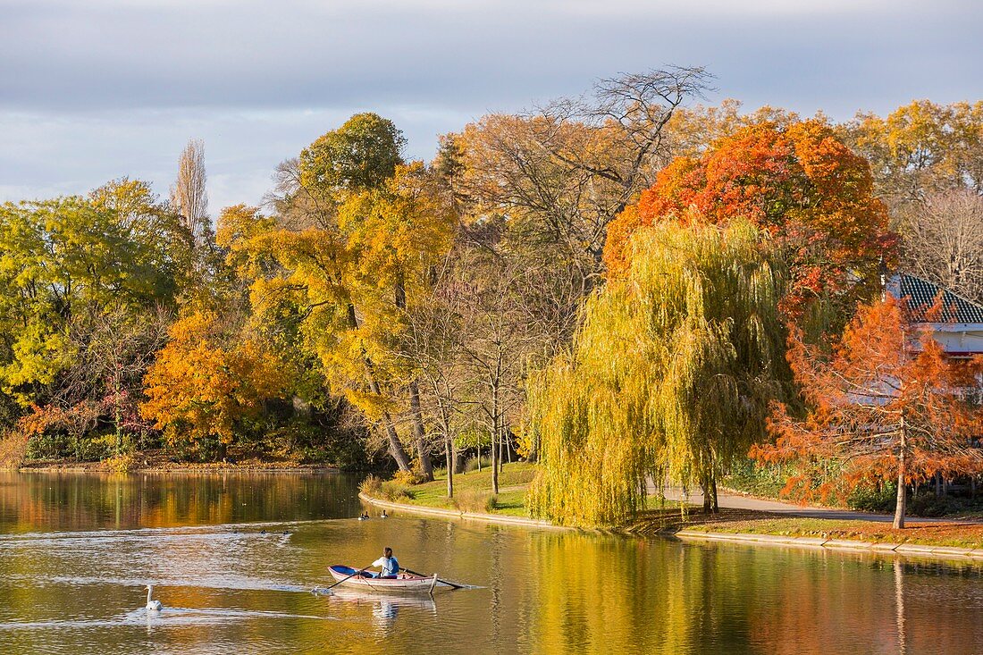 France, Paris, Bois de Vincennes, Daumesnil Lake in autumn