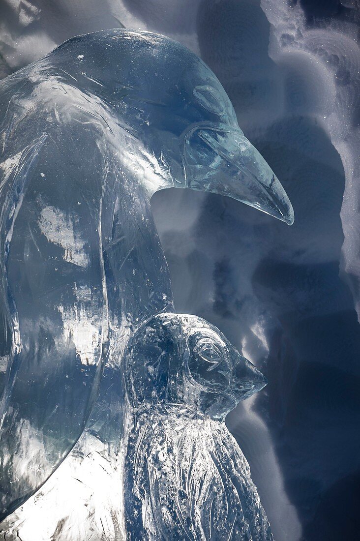 Frankreich, Savoie, Tarentaise-Tal, Vanoise-Massiv, Skigebiet Arcs 2000, Kaiserpinguin und sein in einen Eisblock geschnitztes Baby für die Skulpturengalerie des Dorf-Iglus während der Wintersaison 2017-2018