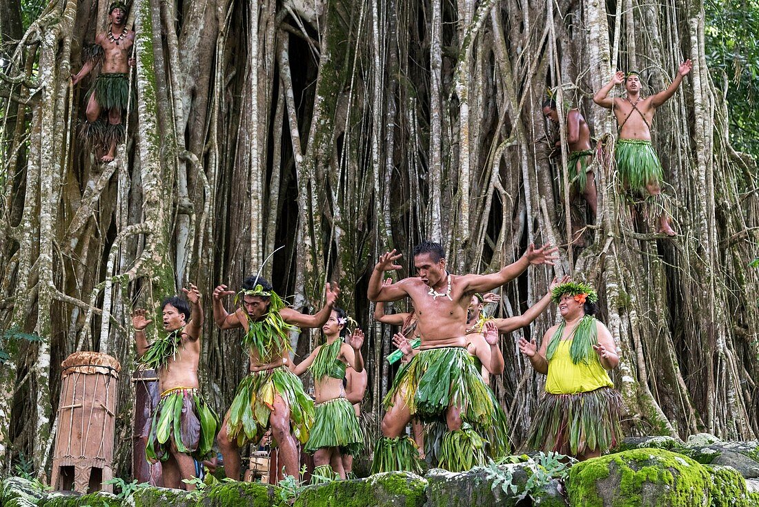 Frankreich, Französisch-Polynesien, Marquesas-Archipel, Nuku Hiva-Insel, Hatiheu, archäologische Stätte Tohua Kamuihei, Marquesan-Tanz am Fuße des Banyan-Baumes (Ficus benghalensis)