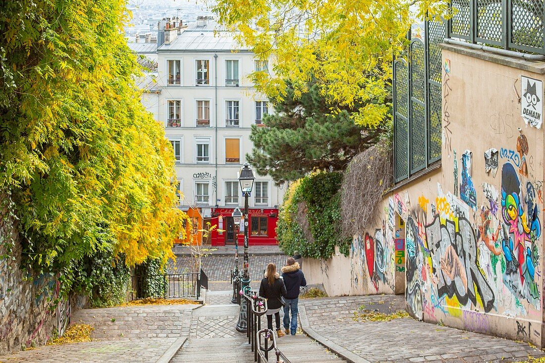 France, Paris, Montmartre, typical staircase rue Jean Baptiste Clement