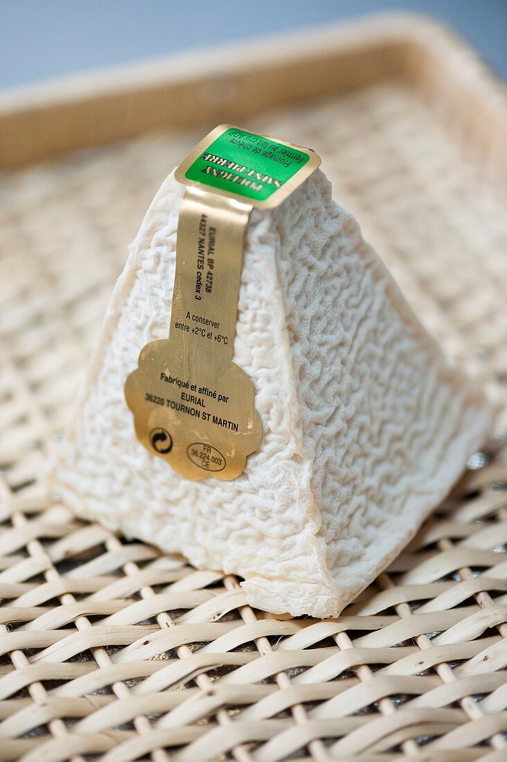 France, Indre, Pouligny Saint Pierre, AOC goat cheese Pouligny Saint Pierre