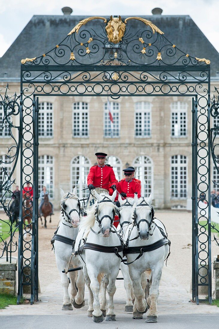 France, Orne, The Pin au Haras, Pin National Stud, presentation of carriage