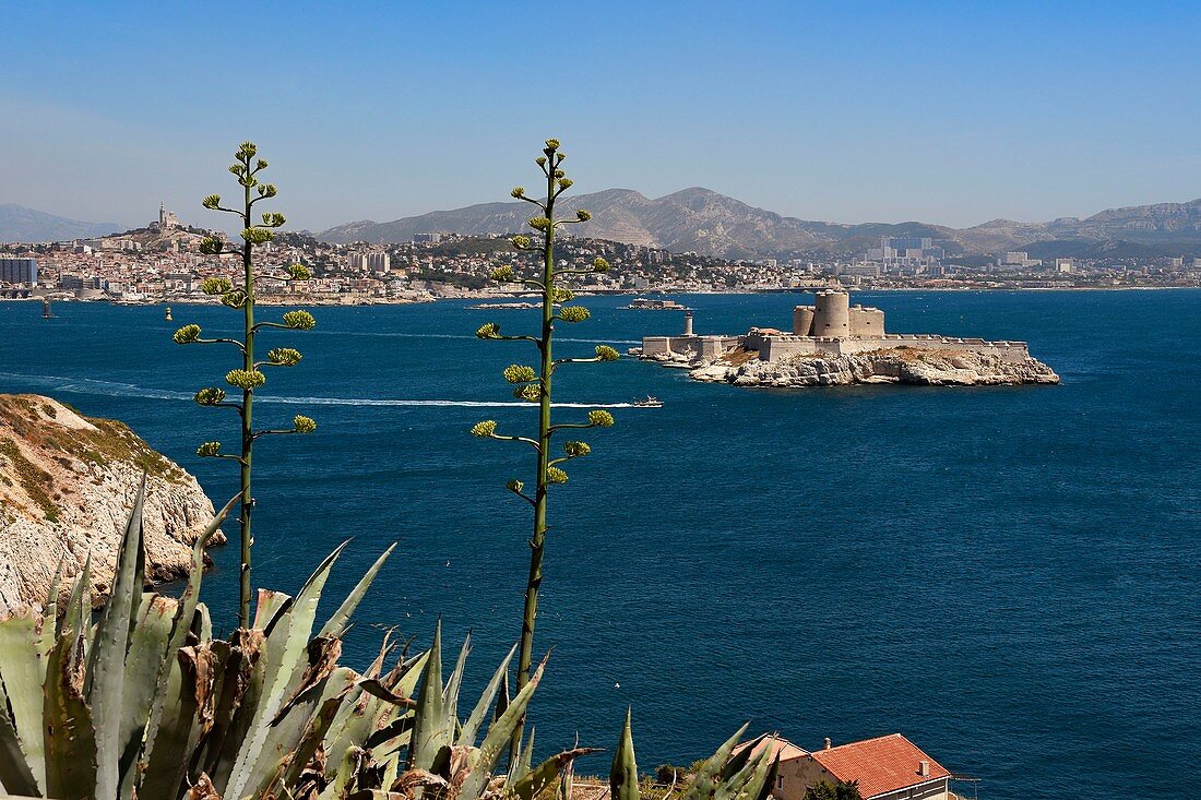 Frankreich, Bouches du Rhone, Marseille, Calanques-Nationalpark, Archipel der Frioul-Inseln, das Château 'If und die Stadt Marseille im Hintergrund