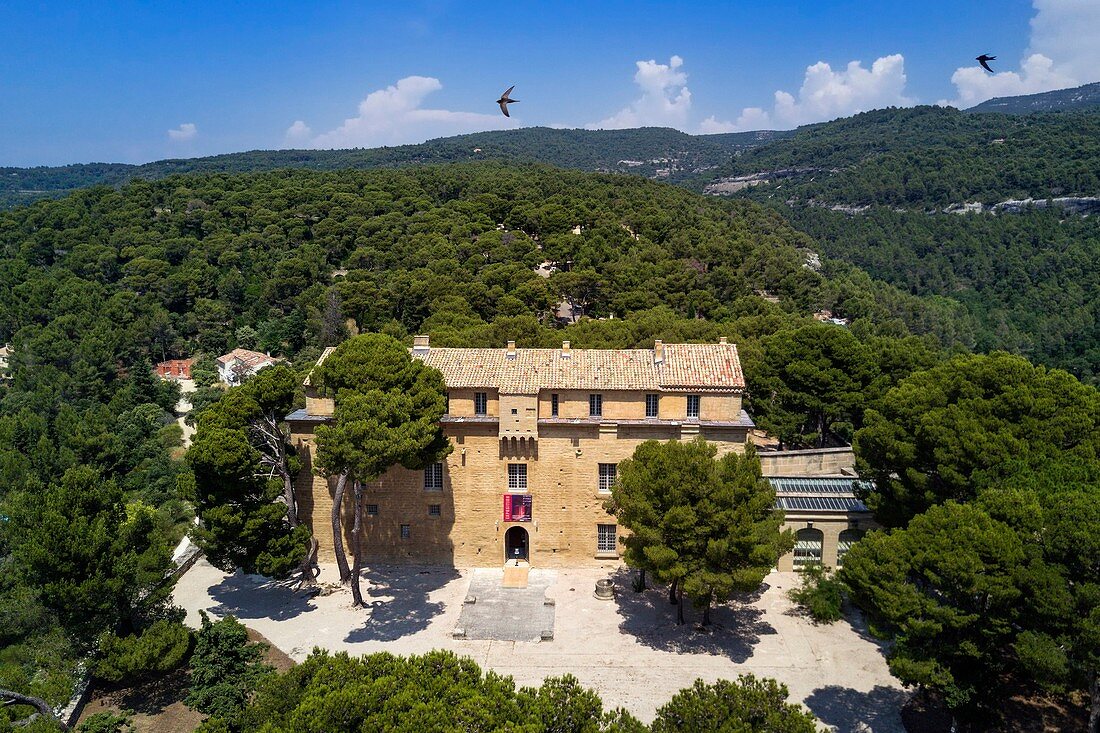 France, Vaucluse, Saumane de Vaucluse, Saumane castle, one of the residences of the Marquis de Sade and Common Swift (Apus apus) flying (aerial view)