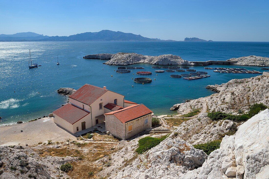 Frankreich, Bouches du Rhone, Marseille, Nationalpark Calanques, Archipel der Frioul-Inseln, natürlicher Hafen der Insel Pomegues, der lange Zeit der Quarantäne von Schiffen und heutzutage der Aquakulturfarm zugeordnet war