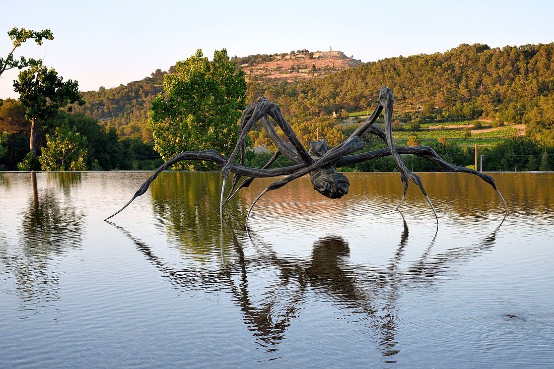 France, Bouches du Rhone, Le Puy Sainte Reparade, Chateau La Coste vineyard and contemporary art center, Crouching Spider 6695 by Louise Bourgeois (Mention Obligatoire)