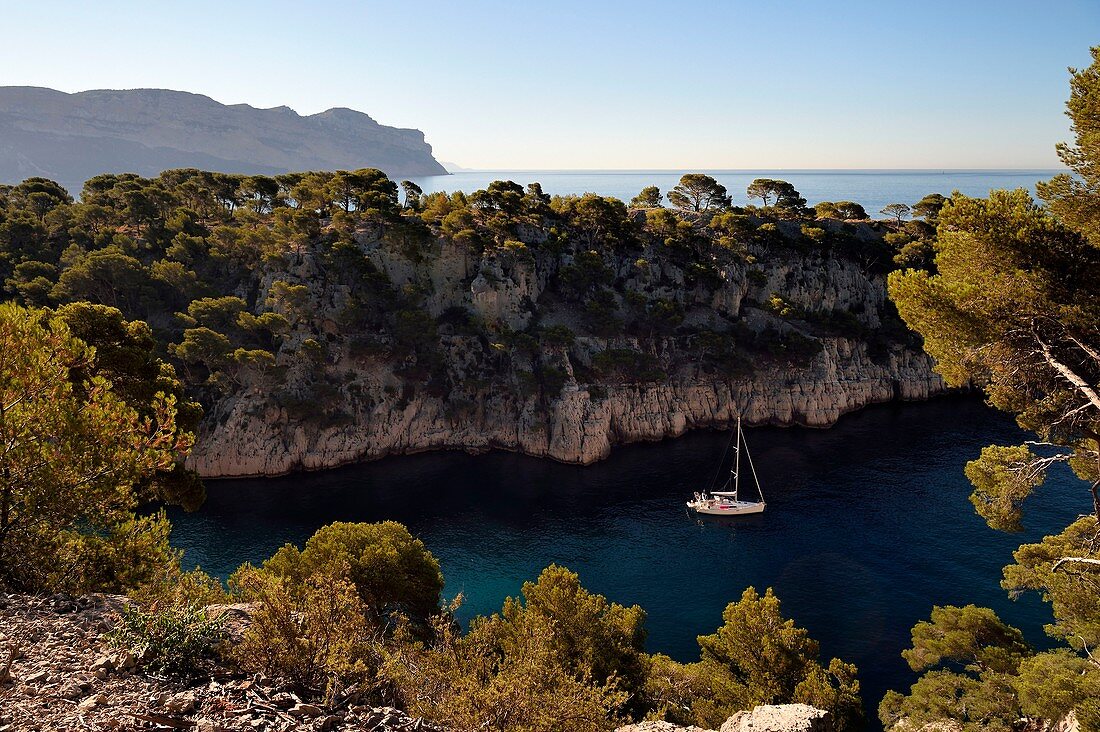 France, Bouches du Rhone, Cassis, National Park of the Calanques, Calanque de Port Miou (cove) and the cliffs of Cap Canaille in the background (request for authorization necessary before publication)