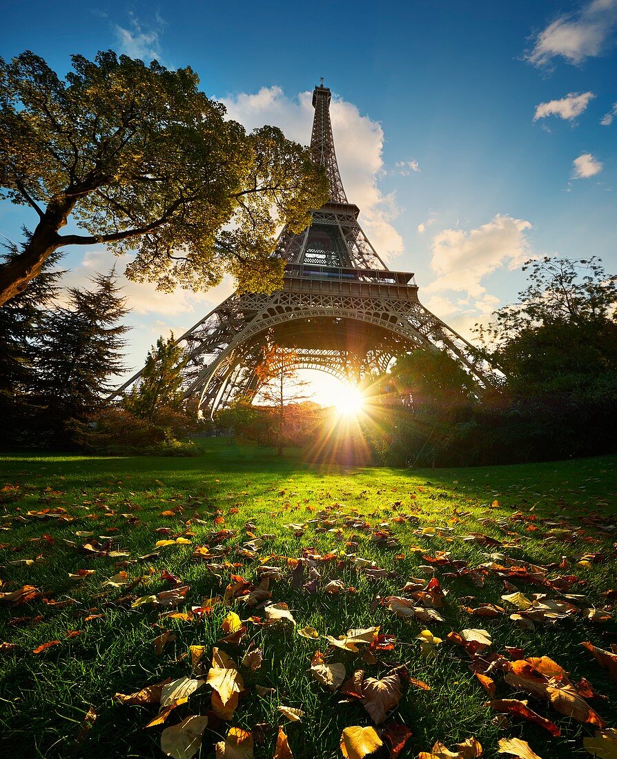 Frankreich, Paris, Paris, Gebiet, das von der UNESCO zum Weltkulturerbe erklärt wurde, der Eiffelturm im Herbst bei Sonnenuntergang
