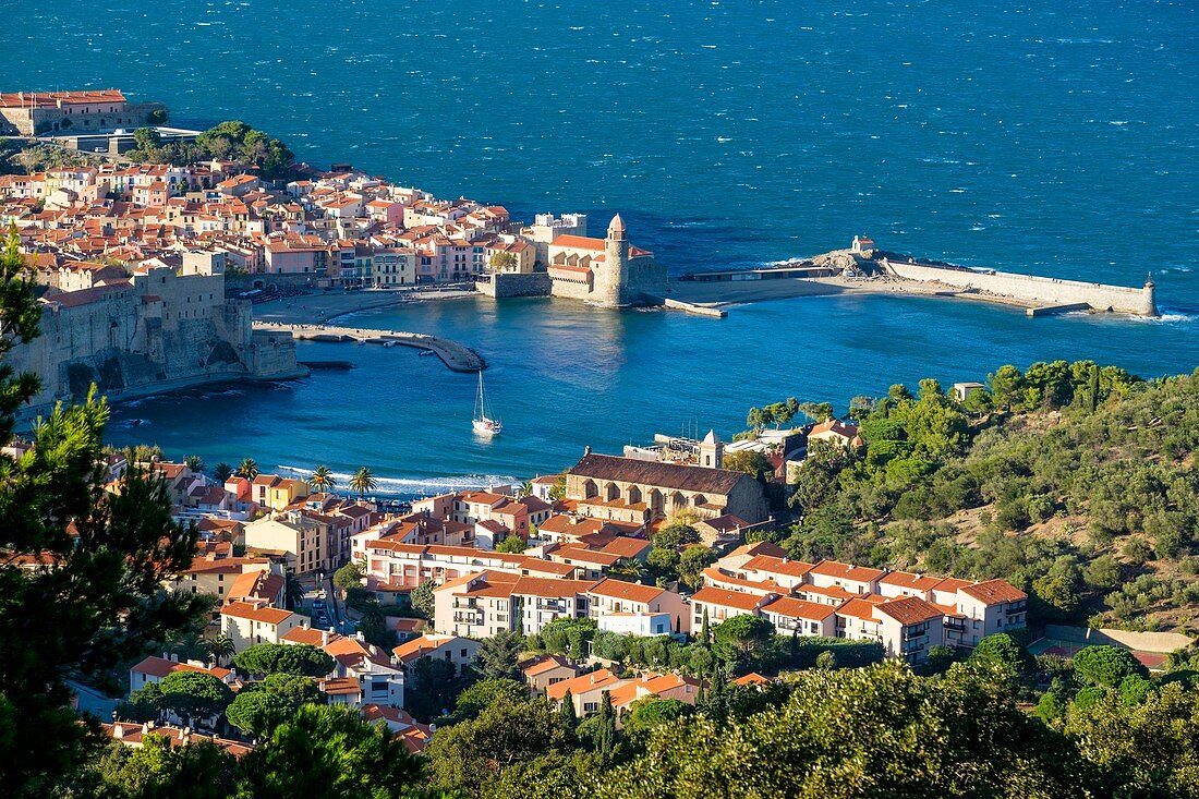 Frankreich, Pyrenäen Orientales, Côte Vermeille, Collioure, das königliche Schloss und die Kirche Notre-Dame-des-Anges