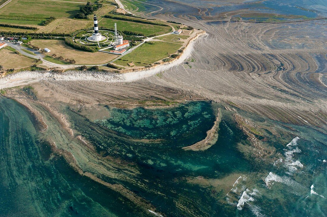 France, Charente Maritime, Saint Denis d'Oleron, Oleron island, Chassiron lighthouse and fish lock (aerial view)