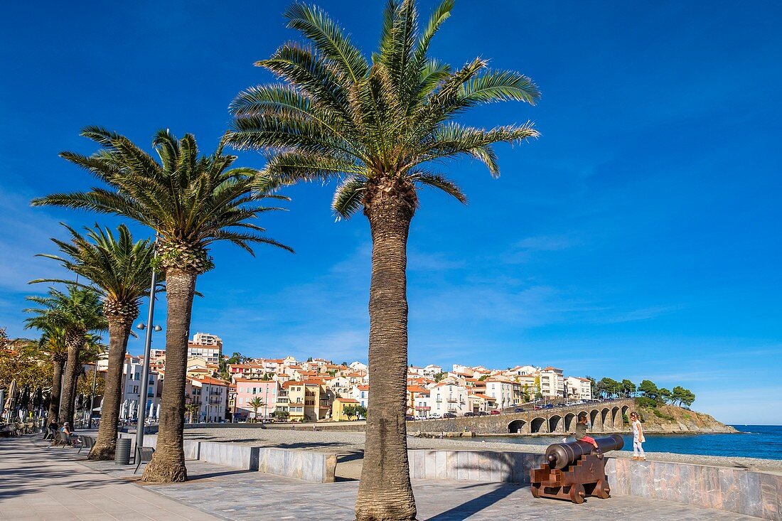 Frankreich, Pyrenäen Orientales, Côte Vermeille, Banyuls-sur-Mer, Promenade entlang des Central Beach und das alte Kanonensymbol der Stadt