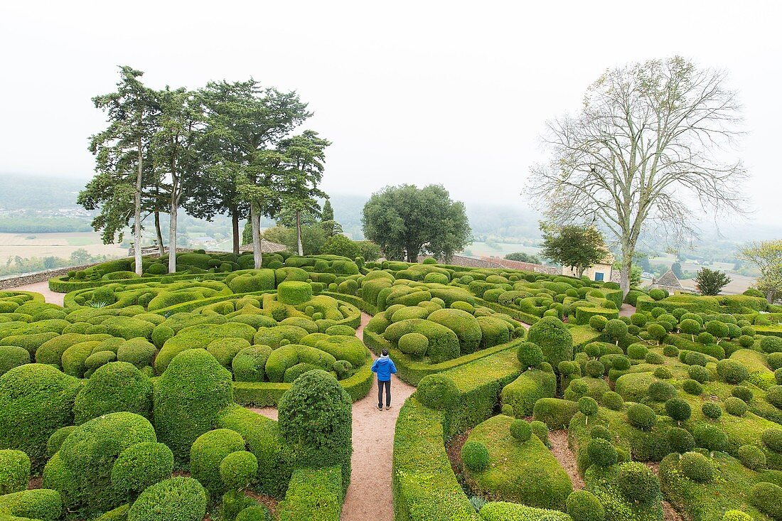 France, Dordogne, Perigord Noir, Dordogne Valley, Vezac, Marqueyssac castle, topiary gardens designed by one of Le Notre student