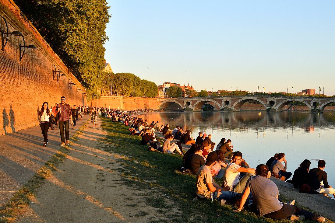 France, Haute Garonne, Toulouse, Garonne banks, Henri Martin Promenade, Quai Lucien Lombard and Pont Neuf