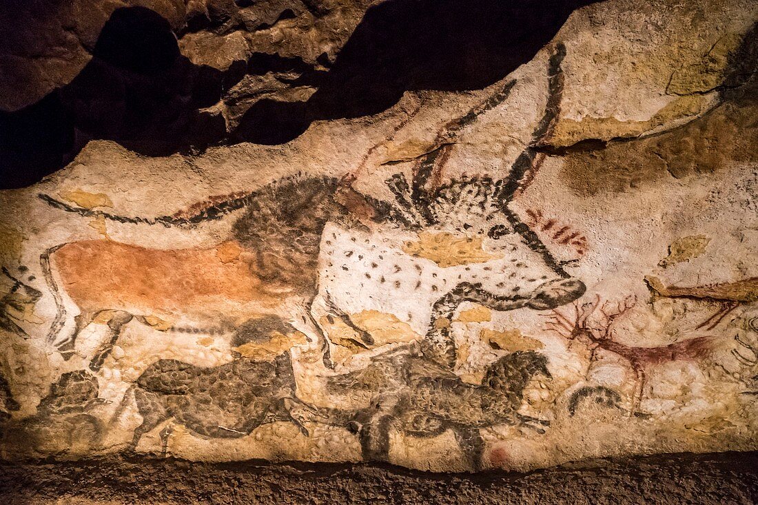 France, Dordogne, Perigord Noir, Vezere Valley, prehistoric site and decorated cave listed as World Heritage by UNESCO, Montignac sur Vezere, Lascaux II, decorated Paleolithic caves, auroch, horses and deer