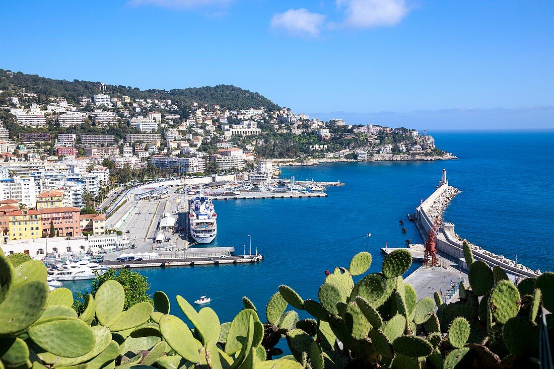 Frankreich, Alpes Maritimes, Nizza, der alte Hafen oder Hafen Lympia vom Colline du Château