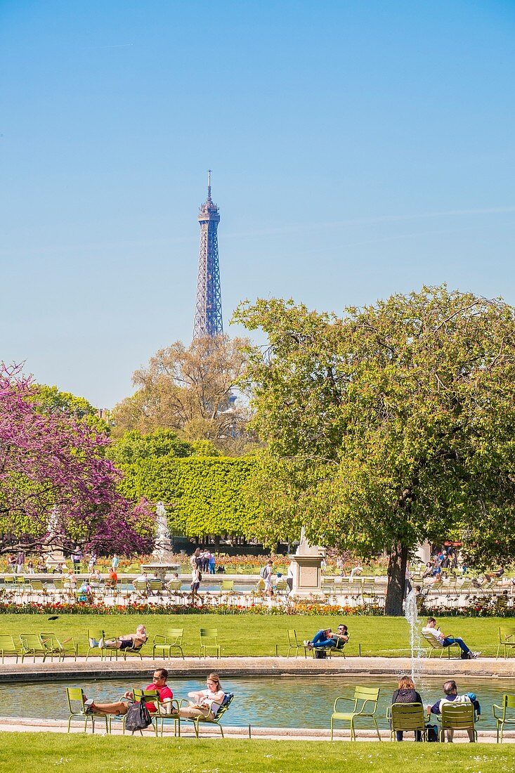 Frankreich, Paris, Gebiet, das im Frühjahr von der UNESCO zum Weltkulturerbe erklärt wurde, der Tuileriengarten und der Eiffelturm