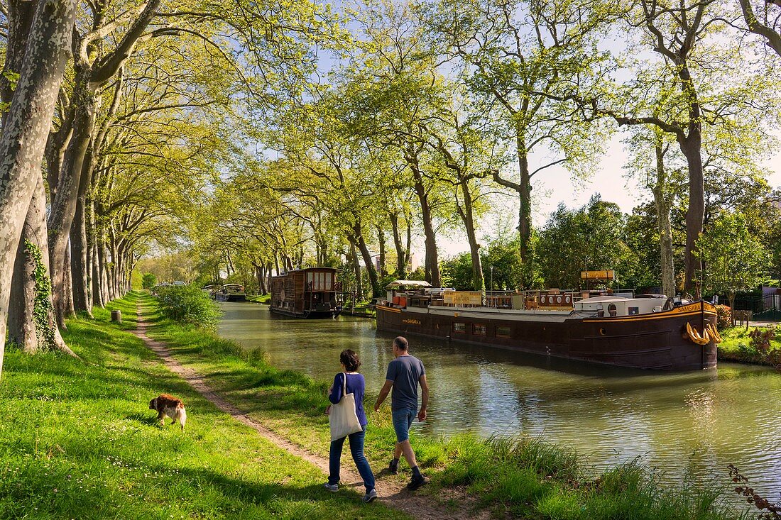 Frankreich, Haute Garonne, Toulouse, der Canal du Midi, der von der UNESCO zum Weltkulturerbe erklärt wurde