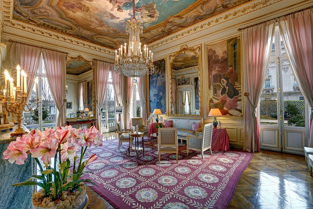 France, Paris, hôtel de Salm, the room of the Muses
