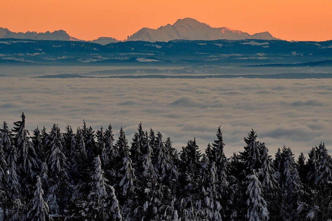 France, Territoire de Belfort, Massif des Vosges, Ballon d'Alsace, sea of clouds and panorama on the Alps, Mont Blanc