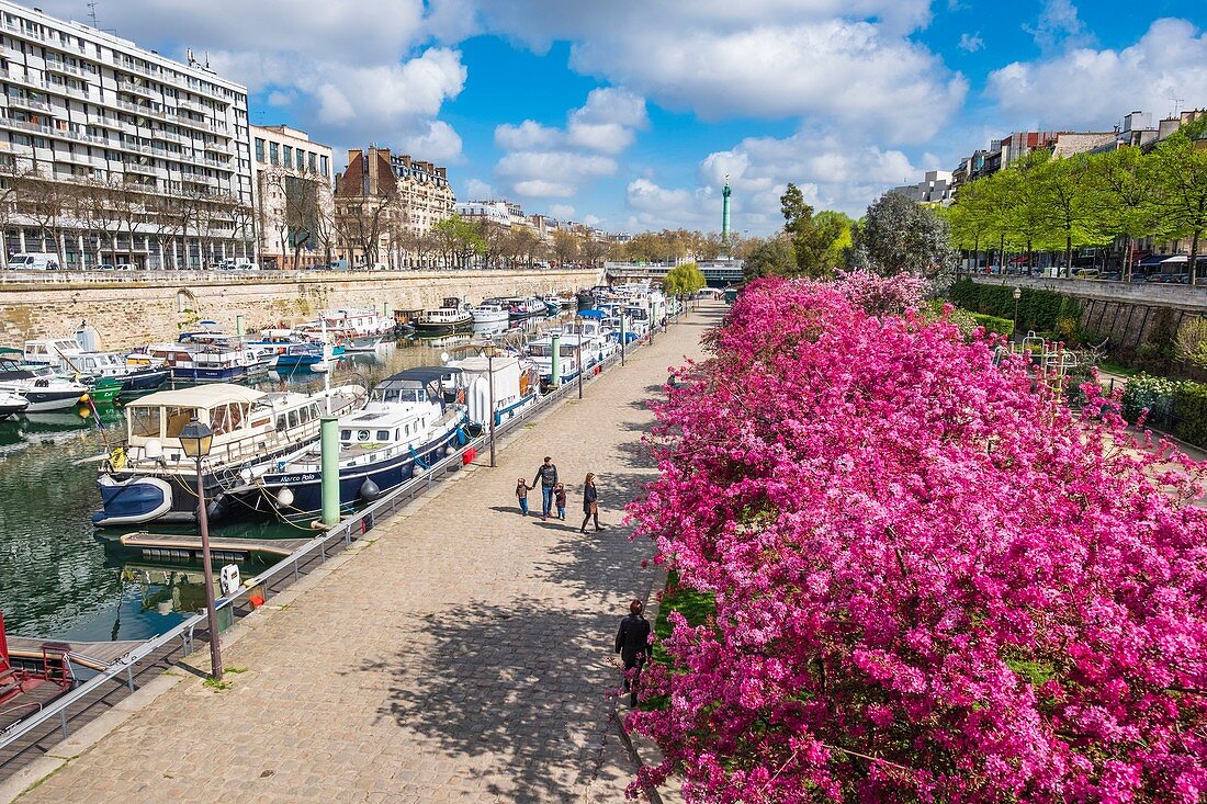 Frankreich, Paris, Port de l'Arsenal oder Bassin de l'Arsenal verbinden den Canal Saint-Martin mit der Seine, die früher ein Warenhafen war und seit 1983 ein Yachthafen ist