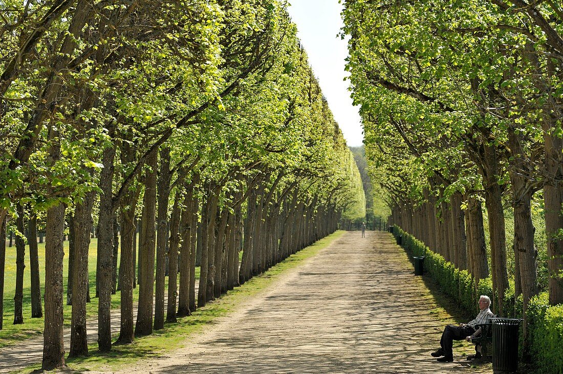 France, Oise, Compiegne, the castle which was the former royal and imperial residence, corridor on the side of the gardens