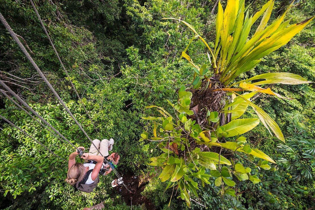 France, French Guiana, Kourou, Camp Canopee, Climbing with a rope to the canopy, 36 m above the ground