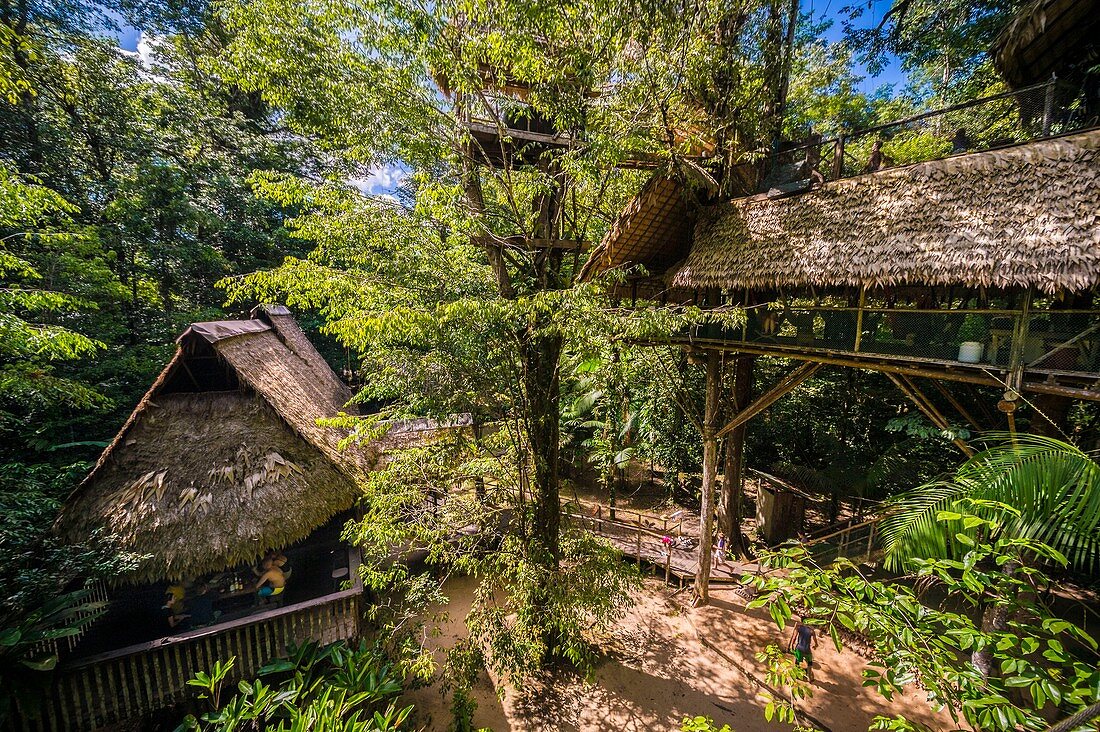 France, French Guiana, Kourou, Camp Canopee, Restoration and resting huts seen from a suspension bridge 10 m above the ground