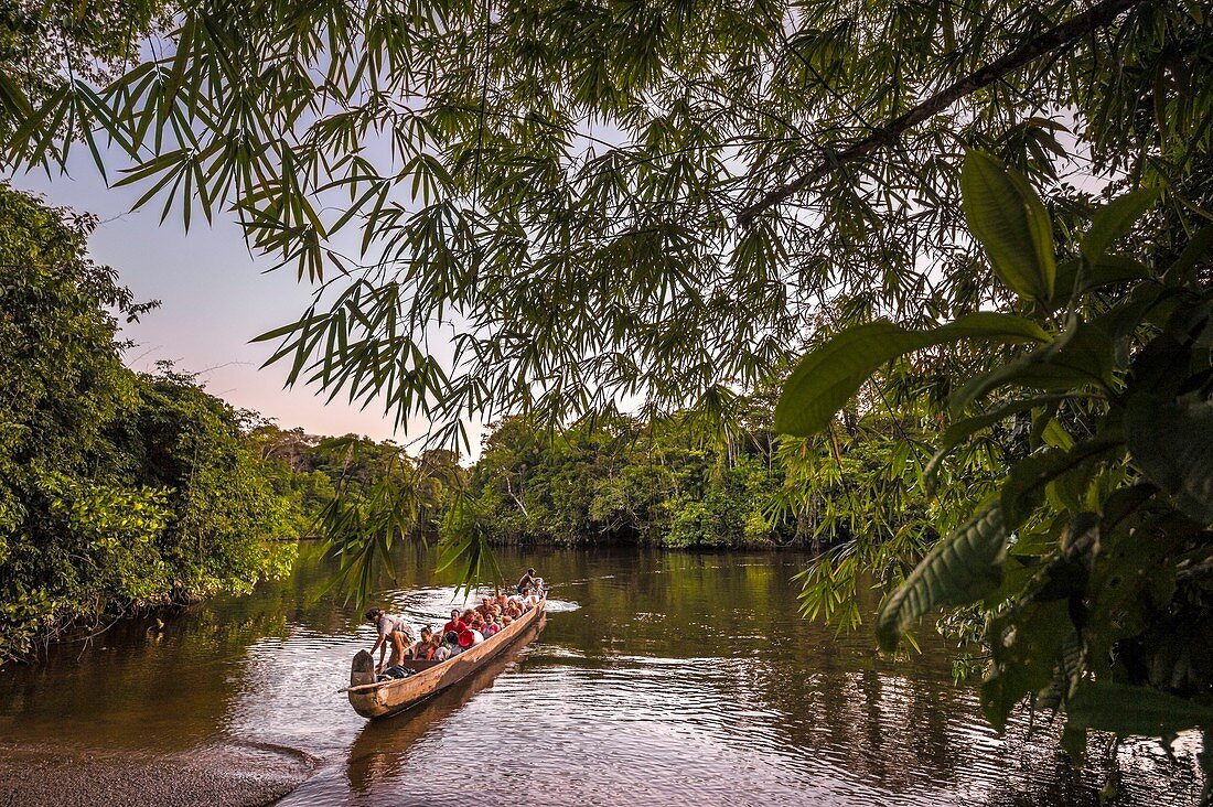 Frankreich, Französisch-Guayana, Kourou, Camp Canopee, Navigation auf dem Kourou-Fluss in einer traditionellen Piroge aus Camp Canopee