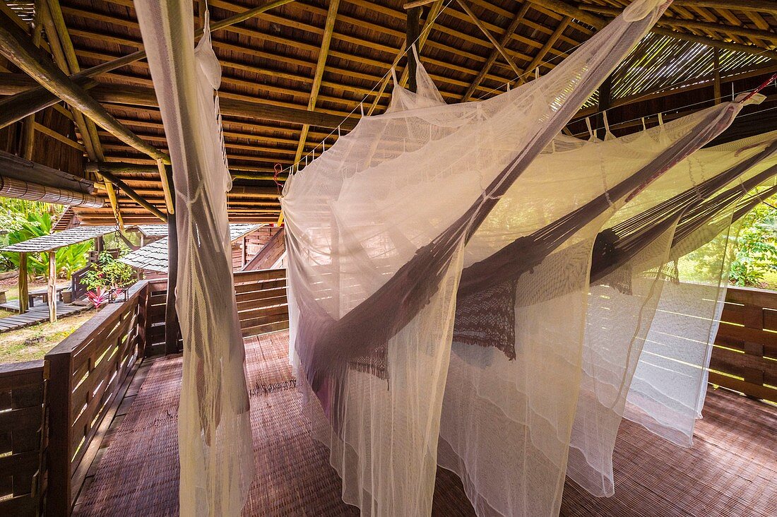 France, French Guiana, Kourou, resting hut with hammock under mosquito nets, Wapa Lodge