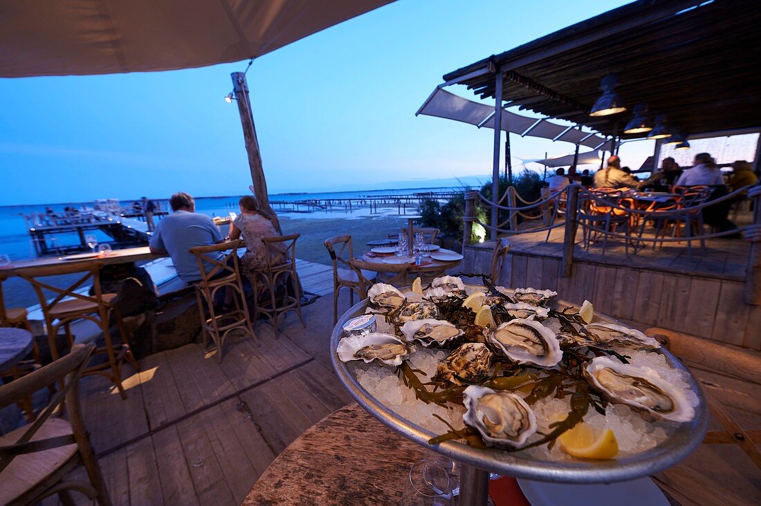 France, Herault, Marseillan, oyster farming, Tarbouriech company, oyster breeding, tasting restaurant, Saint Barth