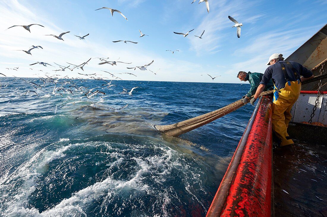 France, Herault, Grau d'Agde boat, the Mediterranee, Francis Disanto business, trawl fisheries off the coast between Agde and Port la Nouvelle