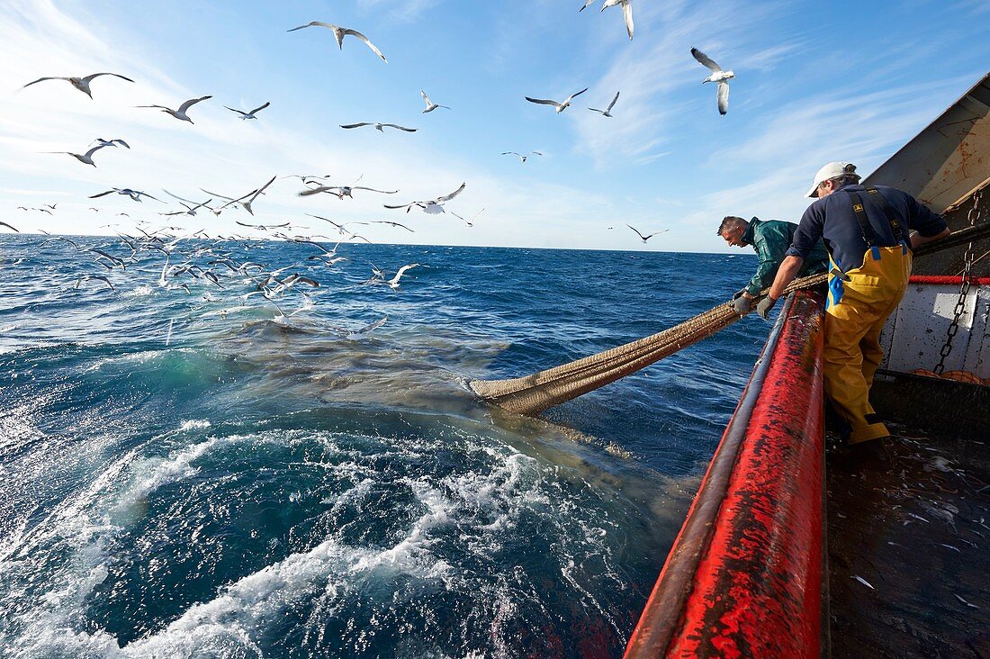 Frankreich, Herault, Grau d'Agde-Boot, Mediterranee, Francis Disanto-Geschäft, Schleppnetzfischerei vor der Küste zwischen Agde und Port la Nouvelle