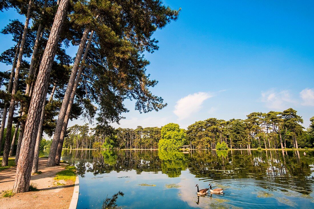 France, Paris, the Bois de Boulogne, Lower Lake