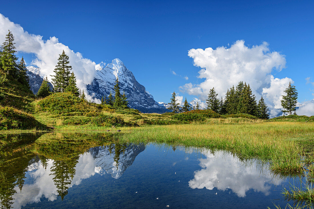 Eiger spiegelt sich in Bergsee, Berner Oberland, UNESCO Weltnaturerbe Schweizer Alpen Jungfrau-Aletsch, Berner Alpen, Bern, Schweiz