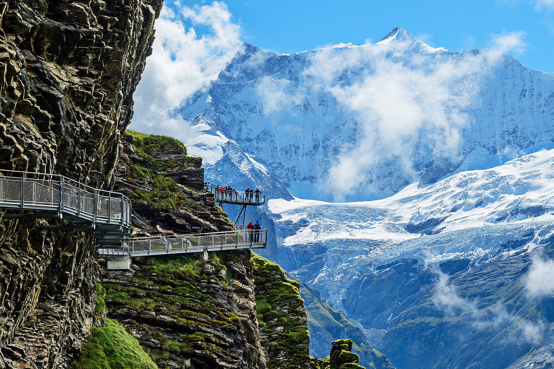 Several people stand on Cliff Walk with a view of Fiescherhorn, Tissot Cliff Walk, First, Grindelwald, Bernese Oberland, UNESCO World Natural Heritage Swiss Alps Jungfrau-Aletsch, Bernese Alps, Bern, Switzerland