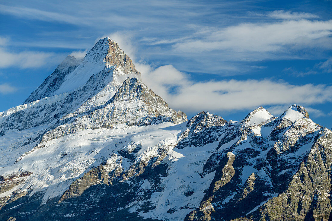 Blick auf Schreckhorn, vom First, Grindelwald, Berner Oberland, UNESCO Weltnaturerbe Schweizer Alpen Jungfrau-Aletsch, Berner Alpen, Bern, Schweiz