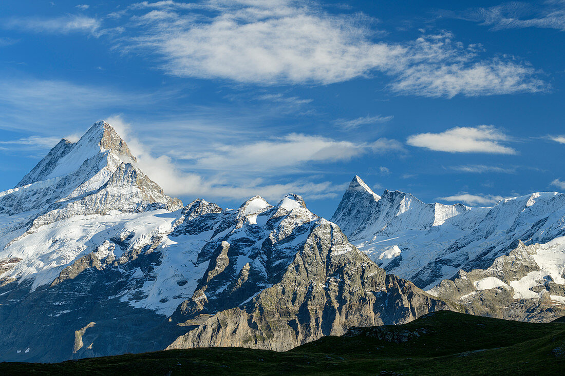 Blick auf Schreckhorn und Finsteraarhorn, vom First, Grindelwald, Berner Oberland, UNESCO Weltnaturerbe Schweizer Alpen Jungfrau-Aletsch, Berner Alpen, Bern, Schweiz