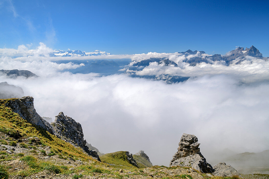 Blick vom Dent de Morcles auf Wolkenmeer mit Mont Blanc und Dents du Midi im Hintergrund, vom Dent de Morcles, Berner Alpen, Vaud, Waadtland, Schweiz