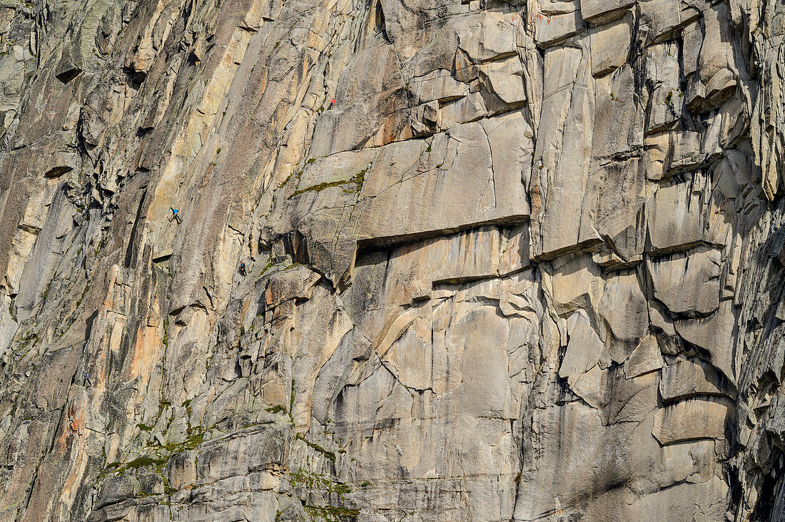 Climber in the rock faces of the Gletschhorn, Gletschhorn, Urner Alps, Uri, Switzerland