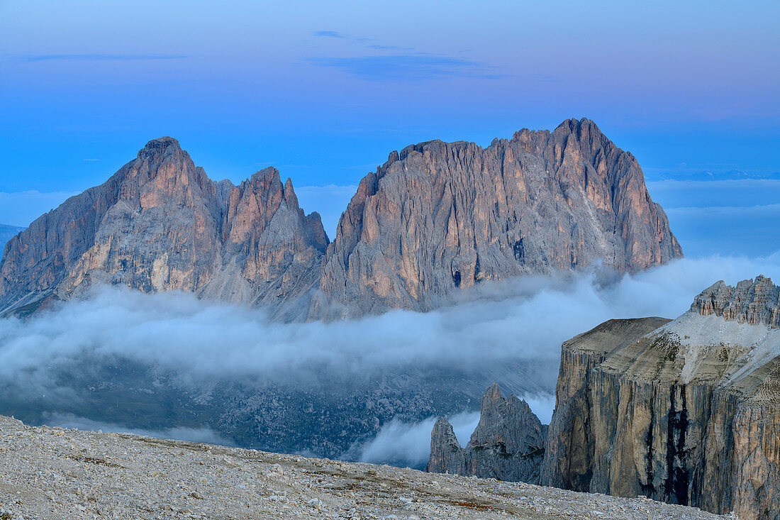 Grohmannspitze, Fünffingerspitze and Langkofel at the blue hour, from the Sella Group, Sella Group, Dolomites, UNESCO World Natural Heritage Dolomites, Veneto, Veneto, Italy