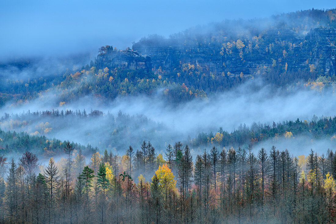 Fog mood over autumn-colored forest, from the cowshed, Kirnitzschtal, Saxon Switzerland National Park, Saxon Switzerland, Elbe Sandstone, Saxony, Germany