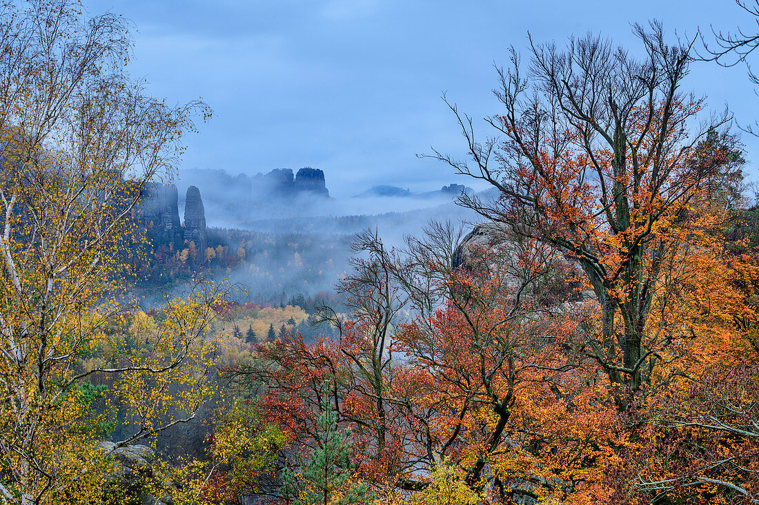 Foggy mood over monkey stones with autumnal colored forest, from the cowshed, Kirnitzschtal, Saxon Switzerland National Park, Saxon Switzerland, Elbe Sandstone, Saxony, Germany