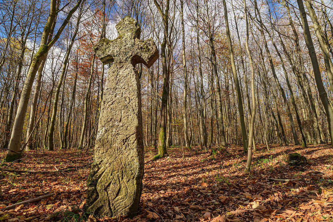 Steinernes Ihlefelder Kreuz im Wald, Nationalpark Hainich, Thüringen, Deutschland