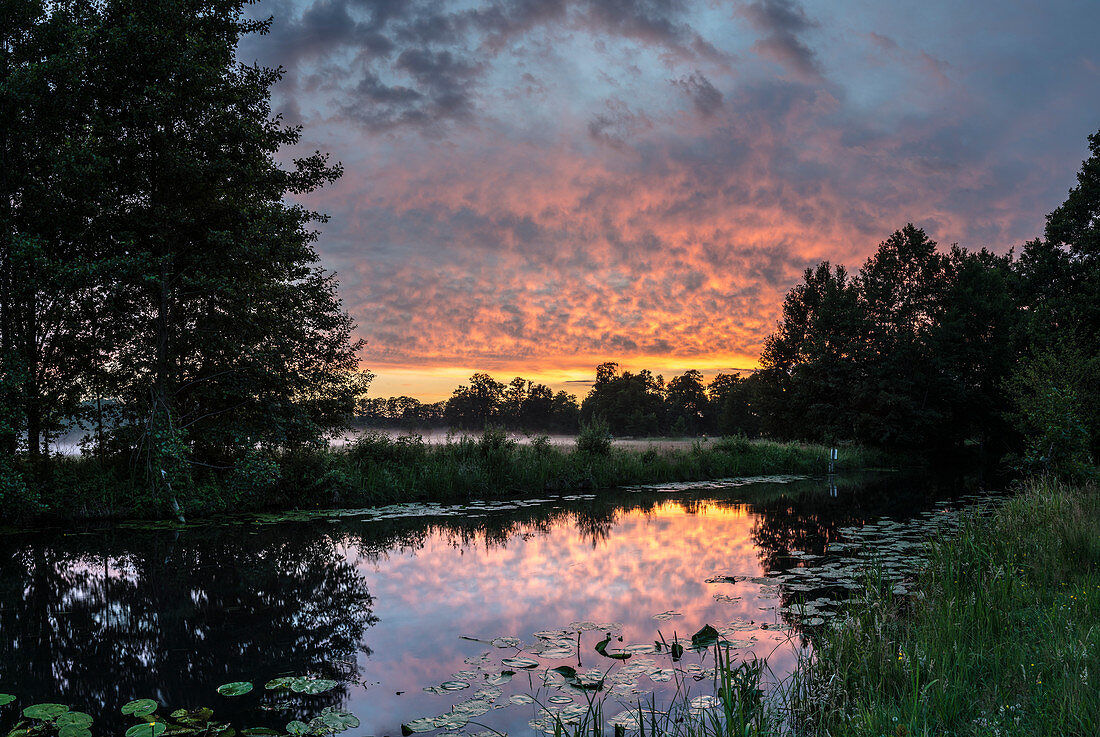 Fire-red sunset with reflection on a Spreearm, Germany, Brandenbirg, Spreewald