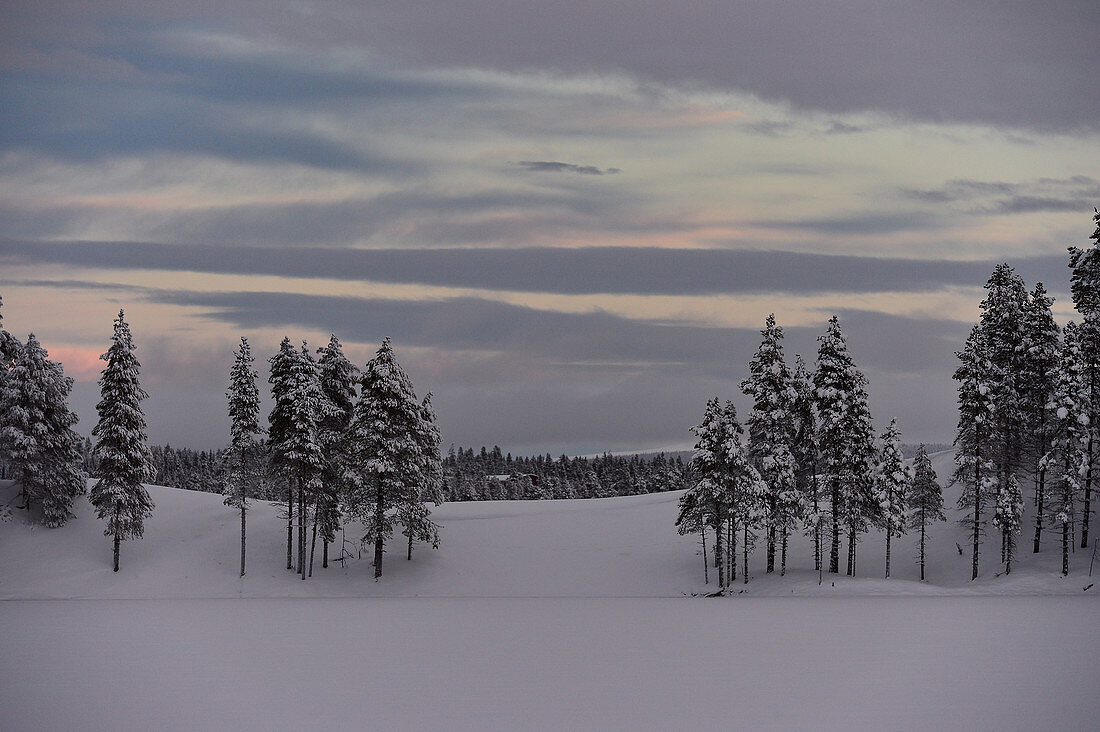 Schnee und Weite in der winterlichen Landschaft in Lappland, Hällvik, Schweden
