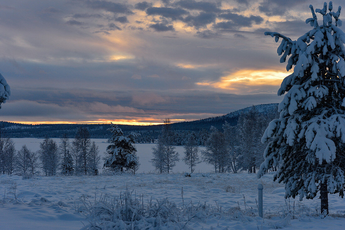 Verschneite Landschaft im Winter mit leuchtendem Himmel, Hällnäs, Lappland, Schweden