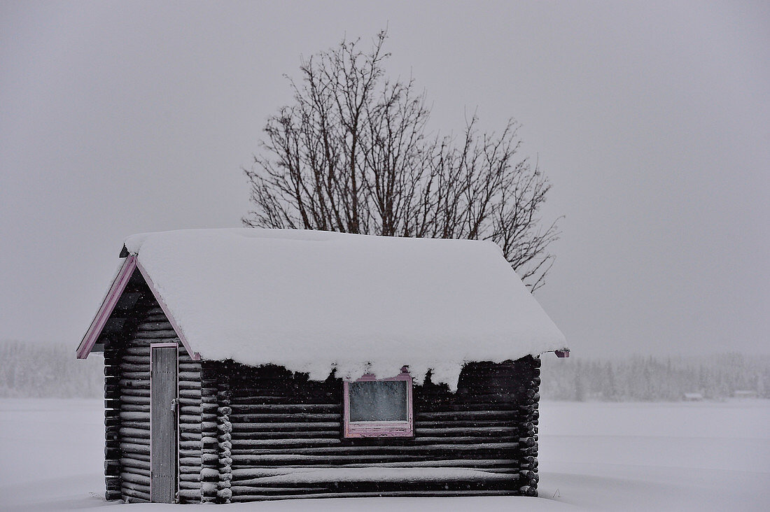 Kleine Holzhütte im tiefen Schnee im Winter, Malå, Lappland, Schweden