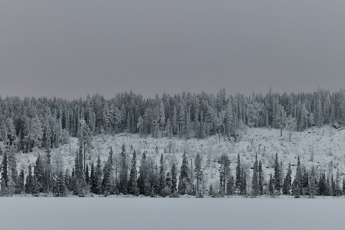 Verschneite Winterlandschaft am See in Lappland, Vilhelmina, Västerbottens Län, Schweden