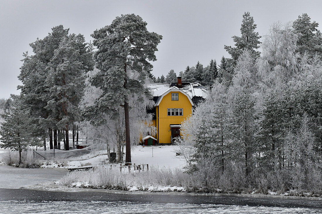 Schwedenhaus am See in verschneiter Winterlandschaft, bei Vilhelmina, Lappland, Schweden