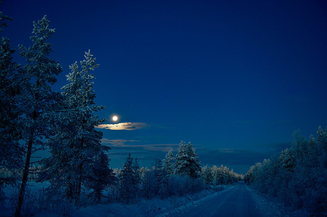 Vollmond über der Winterlandschaft am frühen Morgen, Storuman, Lappland, Schweden